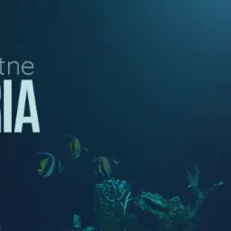 Nowoczesne, kompletne akwarium z dekoracjami: czerwone i fioletowe rośliny, białe rozgwiazdy, bąbelki powietrza, na ciemnym tle z rybami i rafą koralową.