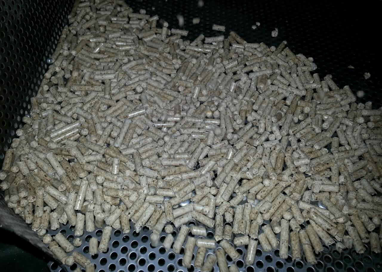 Jasne, cylindryczne brykiety z biomasy, wypełniające perforowany pojemnik, widoczne drobne opiłki.