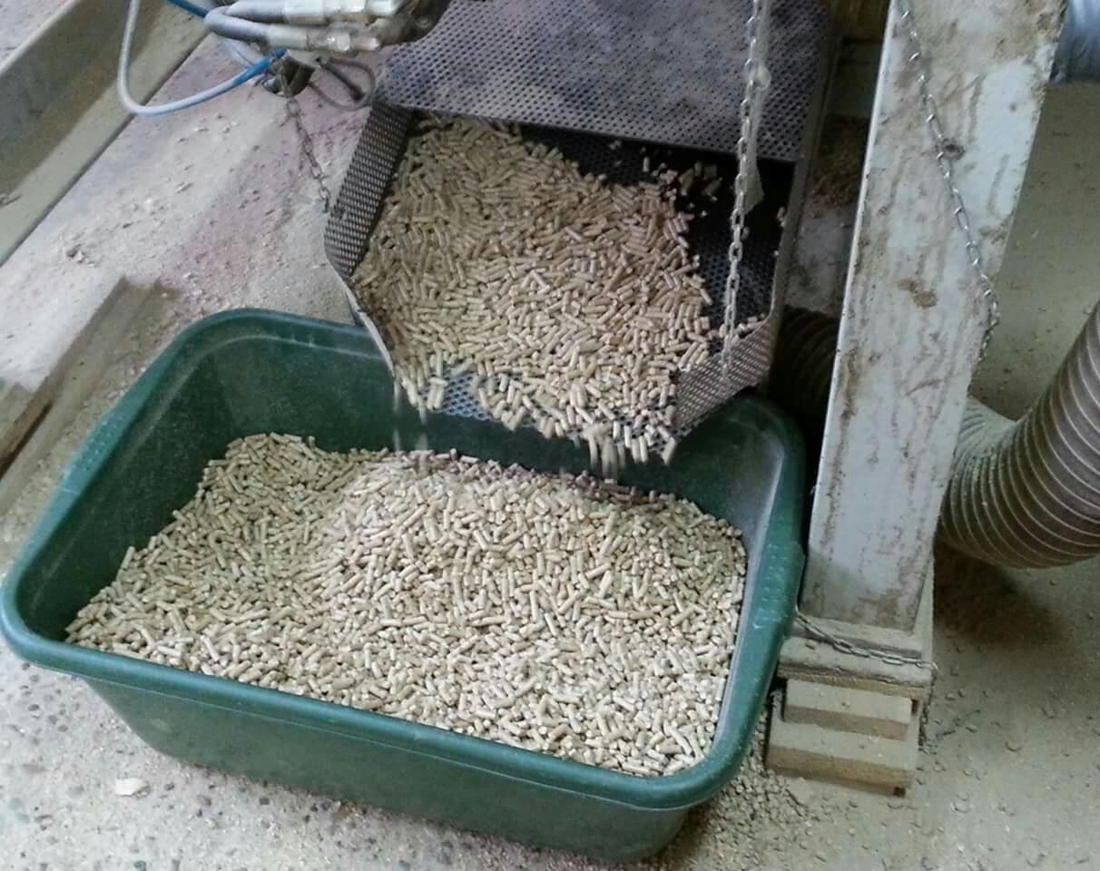 Pellet drzewny przesypywany z metalowej kratownicy do zielonego pojemnika, widoczna część linii produkcyjnej.