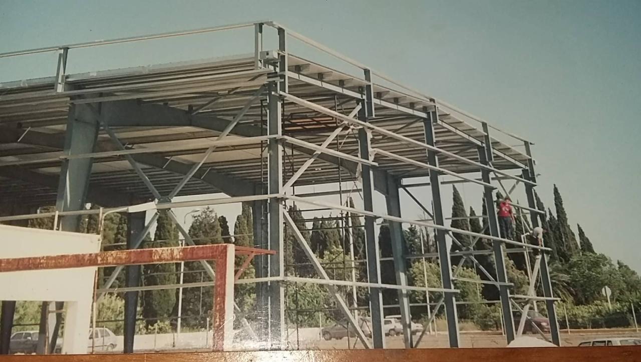 Konstrukcja stalowa hali w trakcie montażu, dwóch pracowników na wysokościach, widoczne drzewa w tle, ujęcie z dołu.