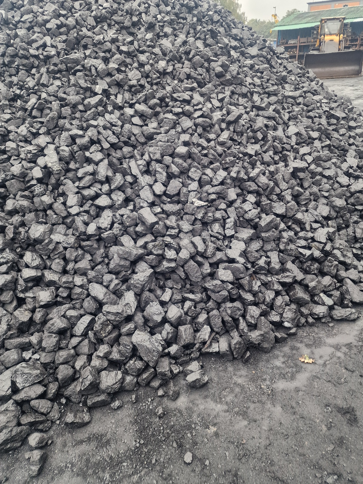 Orzech gruby 60-120mm BOBREK BYTOM