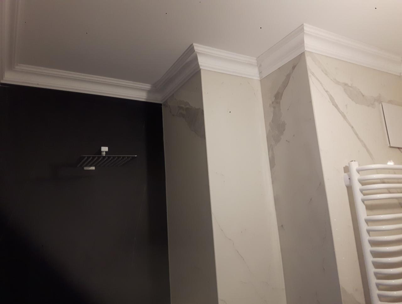 Wykończona łazienka z czarną ścianą prysznicową, białą marmurową ścianą, grzejnikiem drabinkowym i ozdobnymi listwami przysufitowymi.