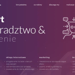 Rewolucje Online sp. z o.o. - Webmaster Kraków