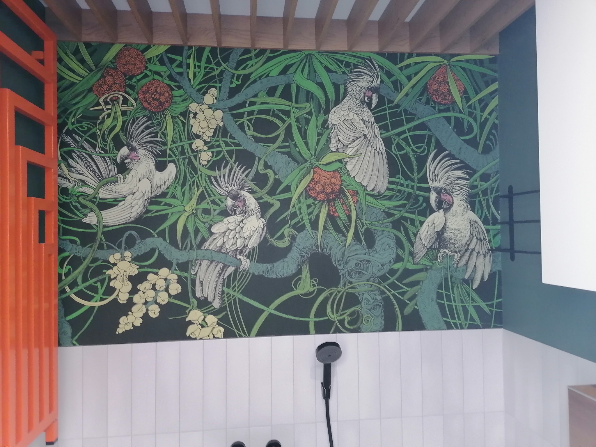 Wzorzysta tapeta z motywem papug i roślin w nowoczesnej łazience z białą glazurą, czarną armaturą i pomarańczowym grzejnikiem.