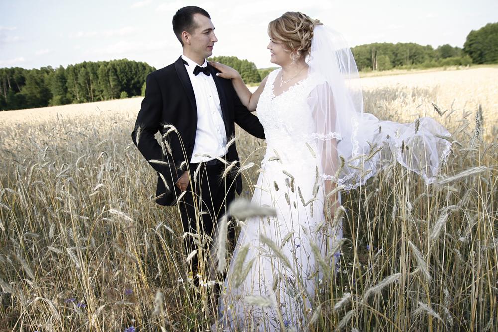 Para młoda w strojach ślubnych stoi na polu zboża, drzewa w tle.