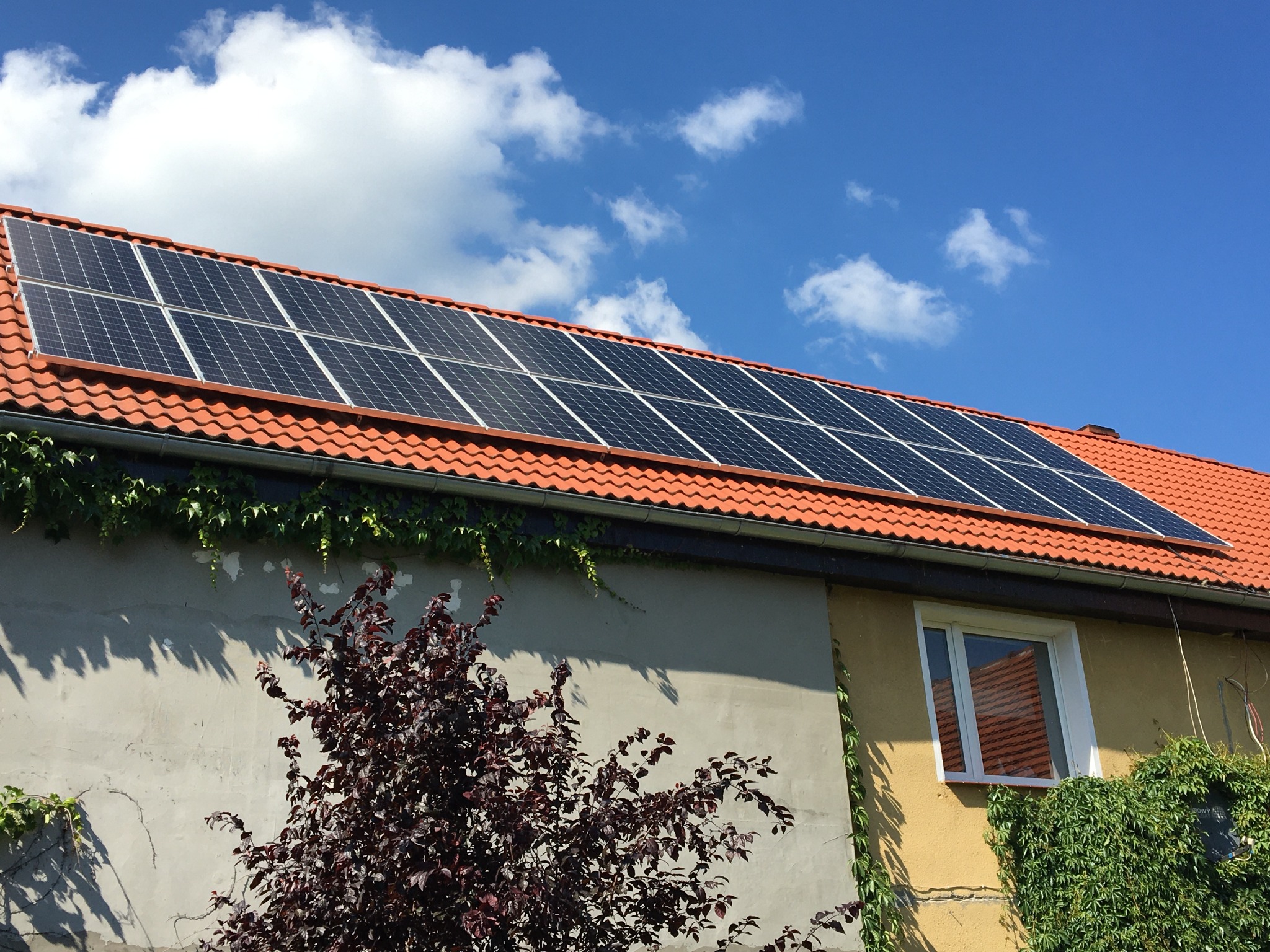 Panele słoneczne na pomarańczowym dachu domu jednorodzinnego, błękitne niebo z chmurami w tle, ściany budynku częściowo porośnięte bluszczem, widoczny krzew o purpurowych liściach.
