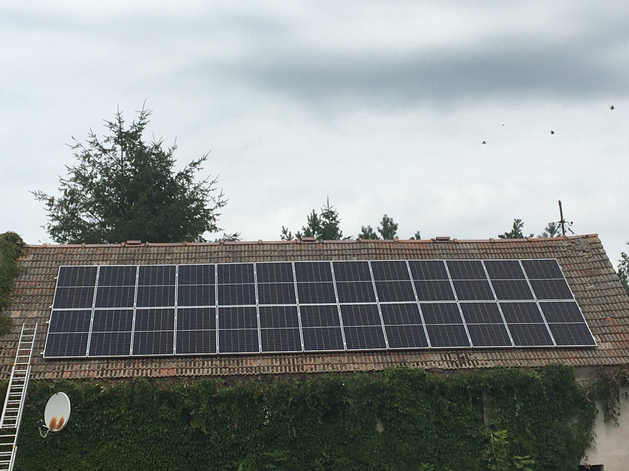 Panel fotowoltaiczny na dachu domu z czerwoną dachówką, drabina oparta o ścianę porośniętą bluszczem, pochmurne niebo i sylwetki ptaków w locie.