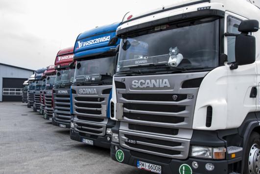 Szereg zaparkowanych ciężarówek marki Scania w różnych kolorach, z pluszowym wilkiem za szybą jednej z nich, na tle szarego nieba i budynku z blachy falistej.