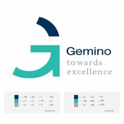 Projekt strony www - Gemino Sp. z o.o.