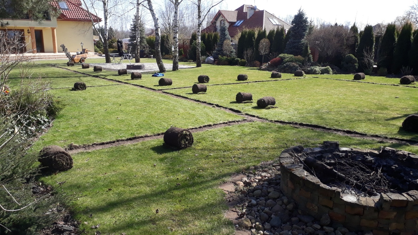 Przygotowanie trawnika pod ułożenie instalacji nawadniającej.