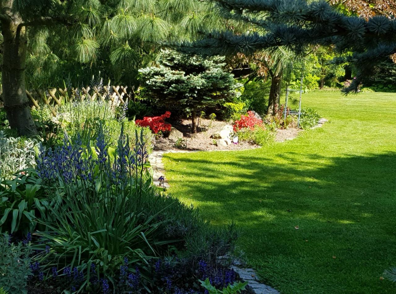Zadbany ogród z równo przystrzyżonym trawnikiem, rabatami kwiatowymi z niebieskimi i czerwonymi kwiatami, ozdobnymi drzewami iglastymi i ścieżką z kamienia.