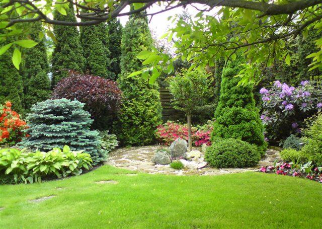 Urokliwy, zadbany ogród w Kobyłce z różnorodnymi iglakami, krzewami ozdobnymi i równo przystrzyżonym trawnikiem. Kamienna ścieżka wijąca się wśród roślin dodaje naturalnego charakteru.