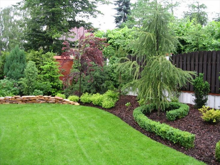 Zadbany ogród z równo przystrzyżonym trawnikiem, rabatami z korą, formowanymi bukszpanami w kształcie węża i różnorodnymi drzewami iglastymi i liściastymi.