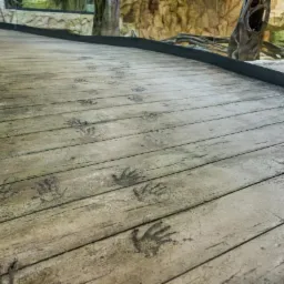 Imitacja starej deski z odciskiem łap warana na posadzce w ZOO, wykonana w technologii Pressbeton/Artbeton, widoczne ślady dłoni