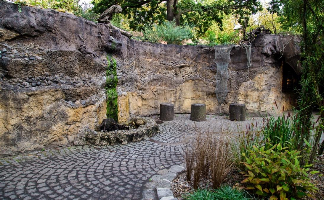 Sztuczne skały - Imitacje Profilu Glebowego - wrocławskie ZOO