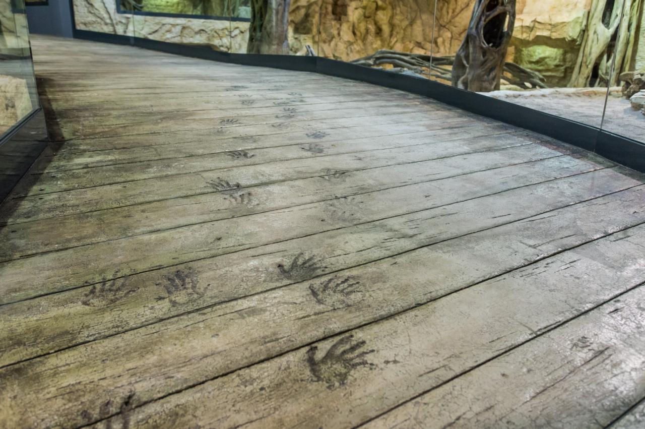 Imitacja starej deski z odciskiem łap warana na posadzce w ZOO, wykonana w technologii Pressbeton/Artbeton, widoczne ślady dłoni