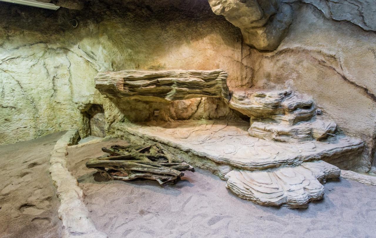 Sztuczne skały - terrarium dla waranów 'Smoki z Komodo' - wrocławskie ZOO