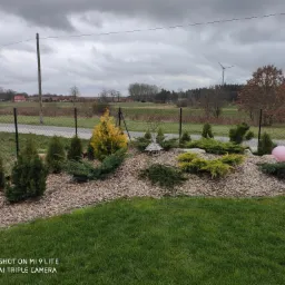 Kaskada iglaków i krzewów na rabacie wysypanej korą, z dekoracyjnym domkiem dla ptaków i różową kulą, na tle krajobrazu z wiatrakami.