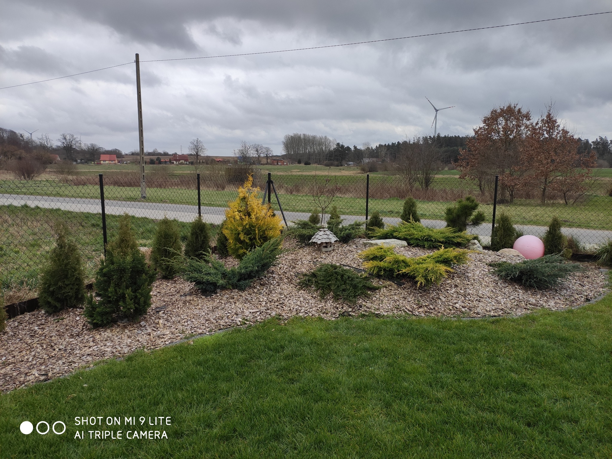 Kaskada iglaków i krzewów na rabacie wysypanej korą, z dekoracyjnym domkiem dla ptaków i różową kulą, na tle krajobrazu z wiatrakami.