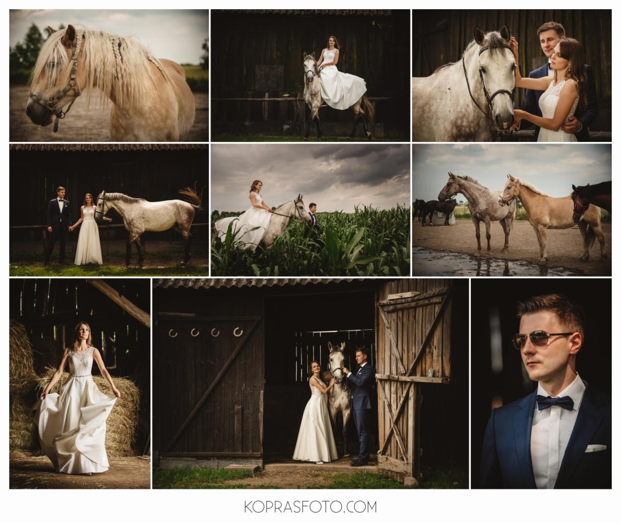 Kolaż zdjęć z sesji plenerowej: para młoda w strojach ślubnych pozuje z końmi na tle stajni, pola kukurydzy i w otoczeniu siana. Jedno ze zdjęć przedstawia portret mężczyzny w garniturze...
