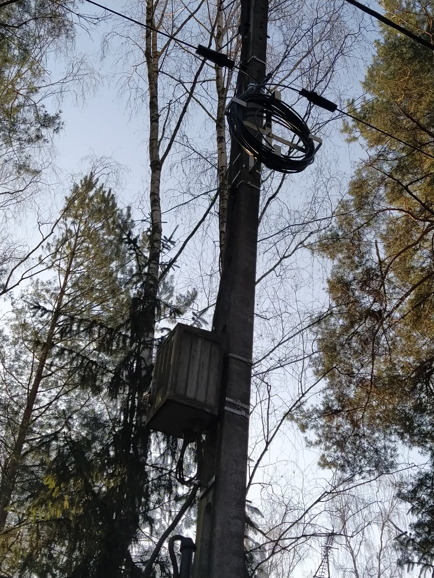 Betonowy słup telekomunikacyjny z zamontowaną skrzynką i zwiniętym kablem, otoczony drzewami w naturalnym środowisku.
