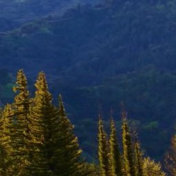 Leasing inny kraków 1