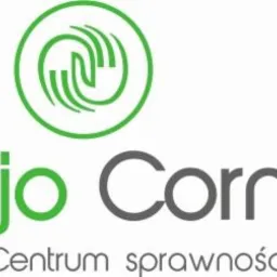Logo Fizjo Corner - Centrum Sprawności, z zielonym symbolem dłoni w okręgu nad nazwą firmy, napisane szarą i zieloną czcionką.