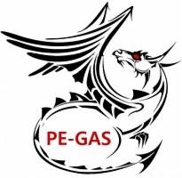 Stylizowane logo firmy PE-GAS przedstawiające czarnego smoka oplecionego wokół napisu, z czerwonym okiem.