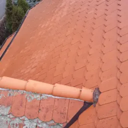 Czerwona dachówka karpiówka na dachu domu, część dachu pokryta starą, szarą dachówką z mchem, w tle zielone drzewa.