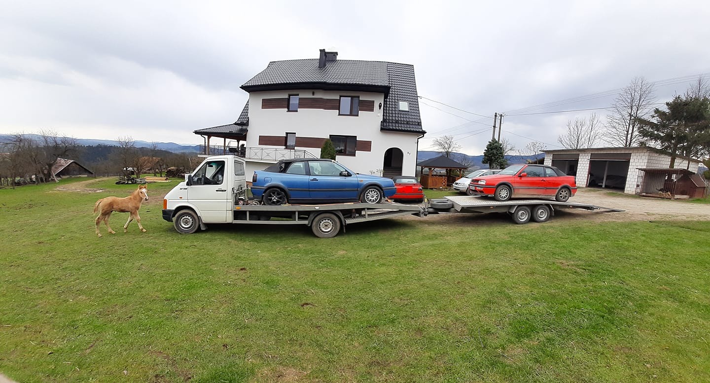 Biała laweta z dwoma samochodami typu kabriolet (niebieski i czerwony) na zielonej trawie, obok stoi źrebak, w tle dwupiętrowy dom i garaż.