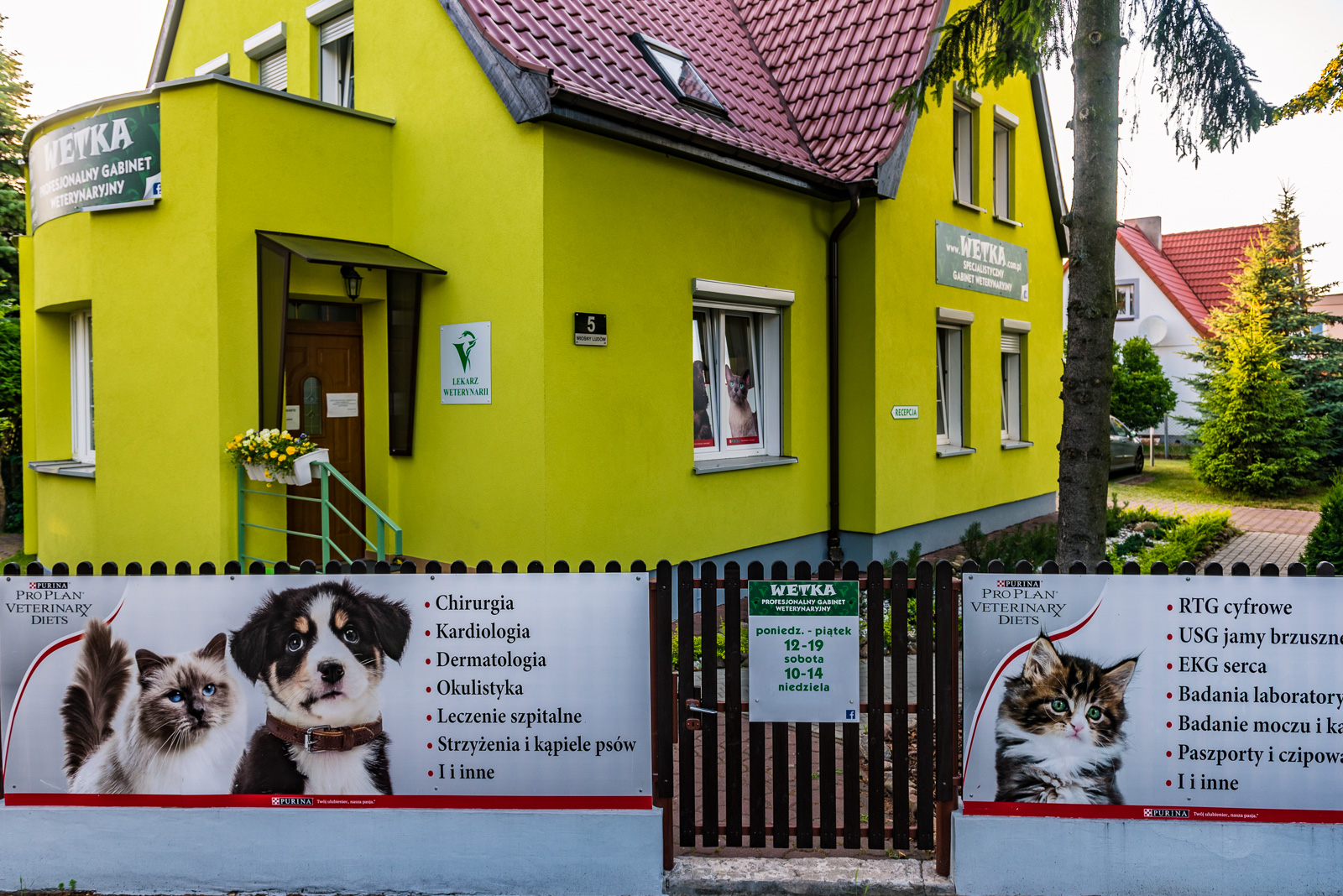 Żółty budynek gabinetu lekarskiego dla zwierząt z szyldami informacyjnymi o usługach i godzinach otwarcia, widoczne koty w oknie.