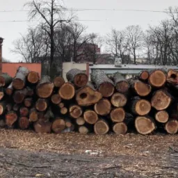 Stos pociętych kł&oacute;d drewna ułożonych na ziemi, w tle budynek z czerwonej cegły i drzewa bez liści.