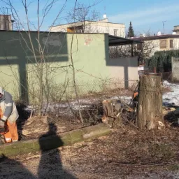 Dwóch mężczyzn w odzieży roboczej tnie powalone drzewo piłą łańcuchową, w tle budynki mieszkalne i resztki śniegu na trawie.