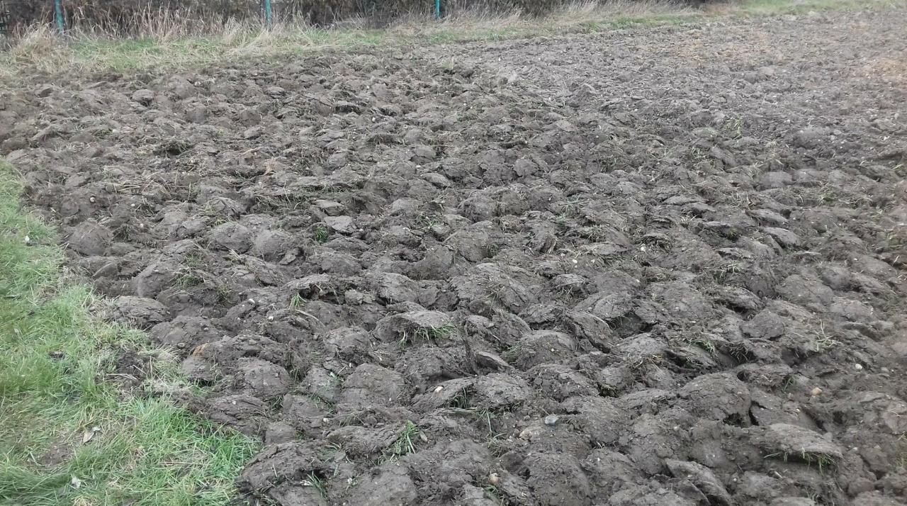 Zaorane pole z widocznymi grudami ziemi i resztkami trawy, przygotowane pod uprawę, z fragmentem zielonej trawy na skraju.