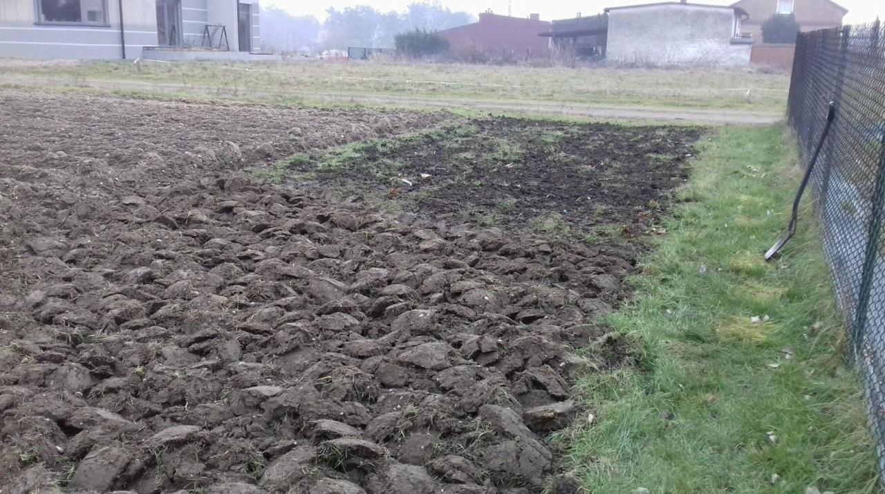 Przygotowane pole pod uprawę z widocznymi grudami ziemi, obok trawnik i siatka ogrodzeniowa, w tle budynki mieszkalne.