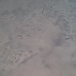 Szara posadzka mikrocementowa z widoczną strukturą i delikatnymi przebarwieniami, wykonana w technice imitującej naturalny kamień.