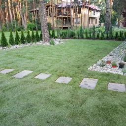 Świeżo założony trawnik z rolki, z ścieżką z płyt betonowych, obrzeżem z białych kamieni i rzędem małych tuj wzdłuż ogrodzenia, na tle domu i lasu.