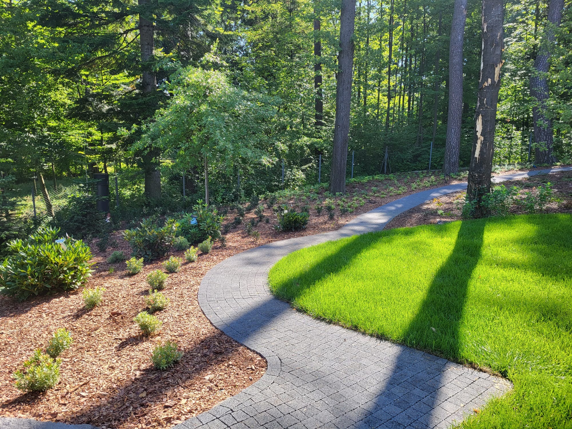 Kręta ścieżka z kostki brukowej w ogrodzie, obok świeżo posadzona trawa i rabata z korą i niskimi krzewami ozdobnymi, w tle las.