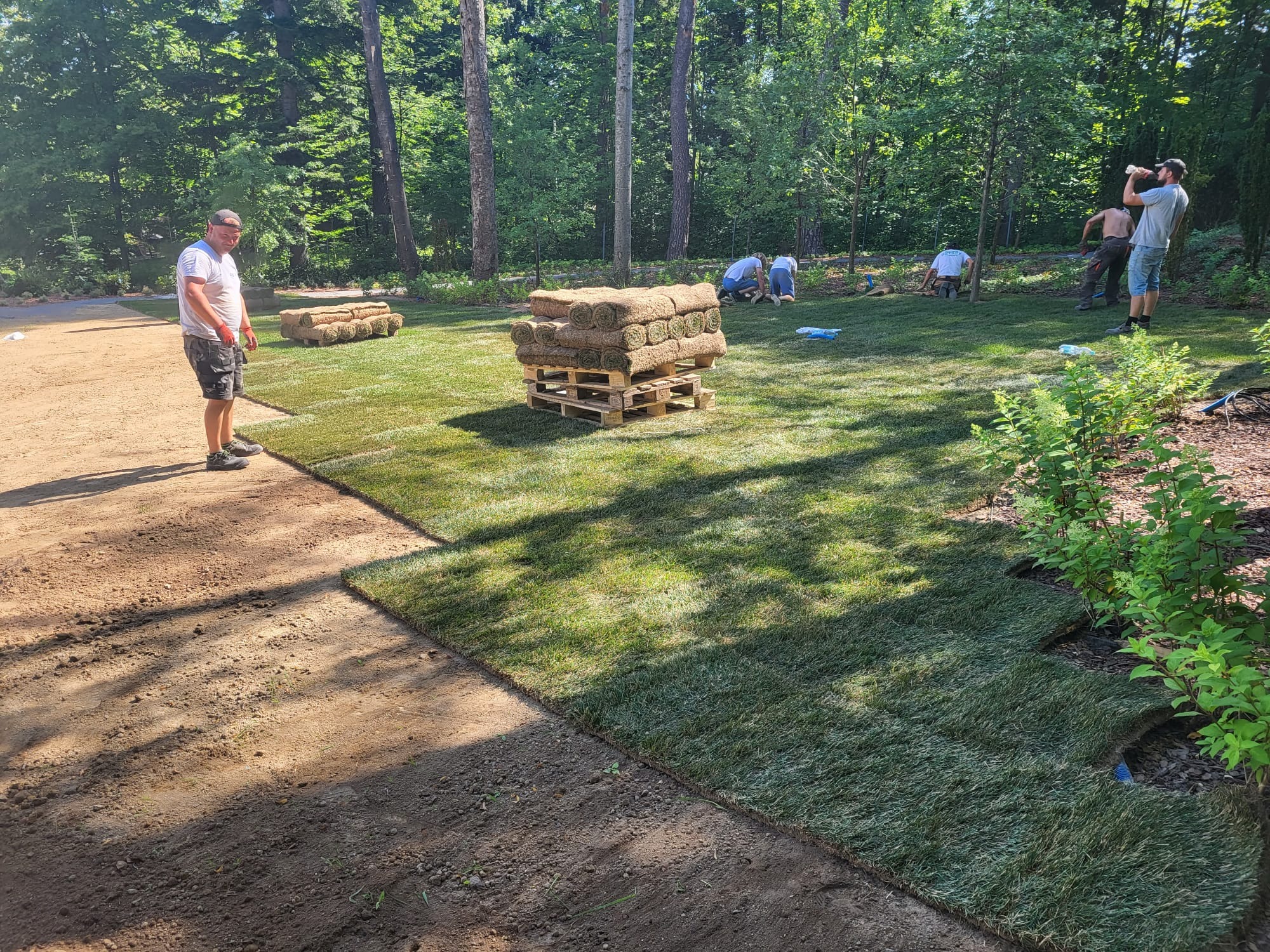 Układanie trawy z rolki na przygotowanym terenie, widoczni pracownicy w trakcie pracy, paleta z rolkami trawy w tle.