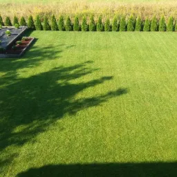 Widok z góry na równy trawnik z rolki, obramowany szpalerem tuj, z fragmentem nowo założonego ogrodu z czarną agrowłókniną i roślinami w tle.