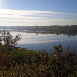 Szeroki kadr na rzekę z bujną roślinnością na pierwszym planie, odbicie drzew w wodzie pod błękitnym niebem z lekkimi chmurami.