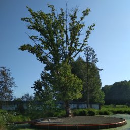 F.H.U.Iveco.wpr -Wycinka i pielęgnacja drzew - Najwyższej Klasy Strzyżenie Traw Pruszków