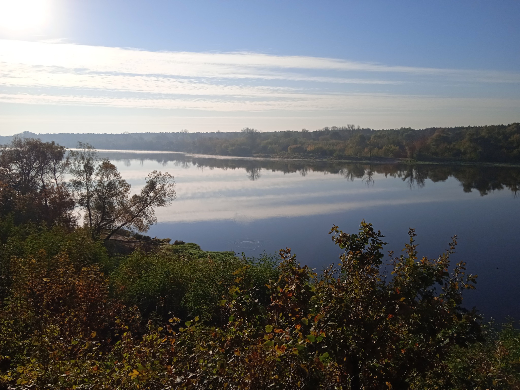 Szeroki kadr na rzekę z bujną roślinnością na pierwszym planie, odbicie drzew w wodzie pod błękitnym niebem z lekkimi chmurami.