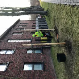 Pracownik w odblaskowej kamizelce stabilizuje młode drzewko za pomocą drewnianych podpór; w tle budynek z cegły i rząd drzew.