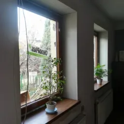 Dwa okna w szarym pokoju, na parapetach doniczkowe rośliny, widoczne ślady po pracach wykończeniowych, na szybie jednego okna naklejka.