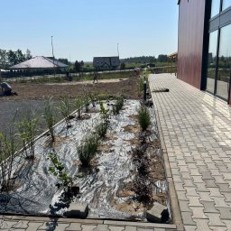 ESP COMFORT - Zakładanie ogrodu przy budynku: rozłożona agrowłóknina, posadzone trawy ozdobne i krzewy, kostka brukowa, w tle domy jednorodzinne i pracownicy.