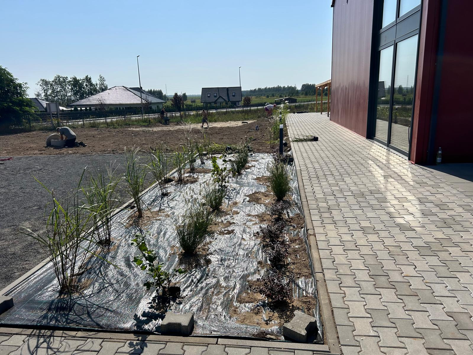 Zakładanie ogrodu przy budynku: rozłożona agrowłóknina, posadzone trawy ozdobne i krzewy, kostka brukowa, w tle domy jednorodzinne i pracownicy.