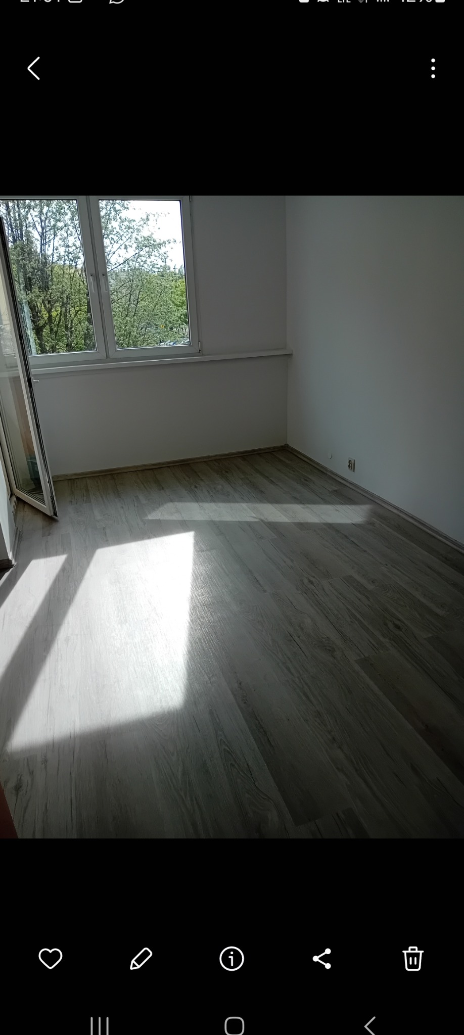 Jasne panele podłogowe ułożone w pustym pokoju z białymi ścianami, oświetlone naturalnym światłem wpadającym przez okno.