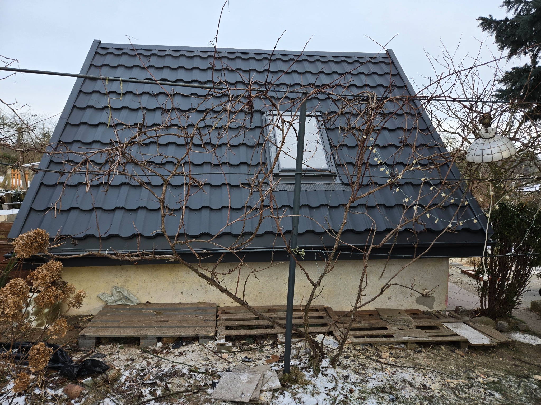 Czarny dach z blachy trapezowej z oknem dachowym, widziany przez gałęzie winorośli. W tle widoczny fragment ogrodu i lampa ogrodowa. Dach po wymianie.
