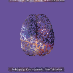 Projekt okładki konkursowej pod pracę naukową dla SIN #2